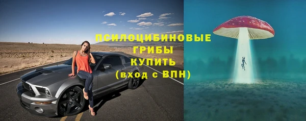 тгк Осташков